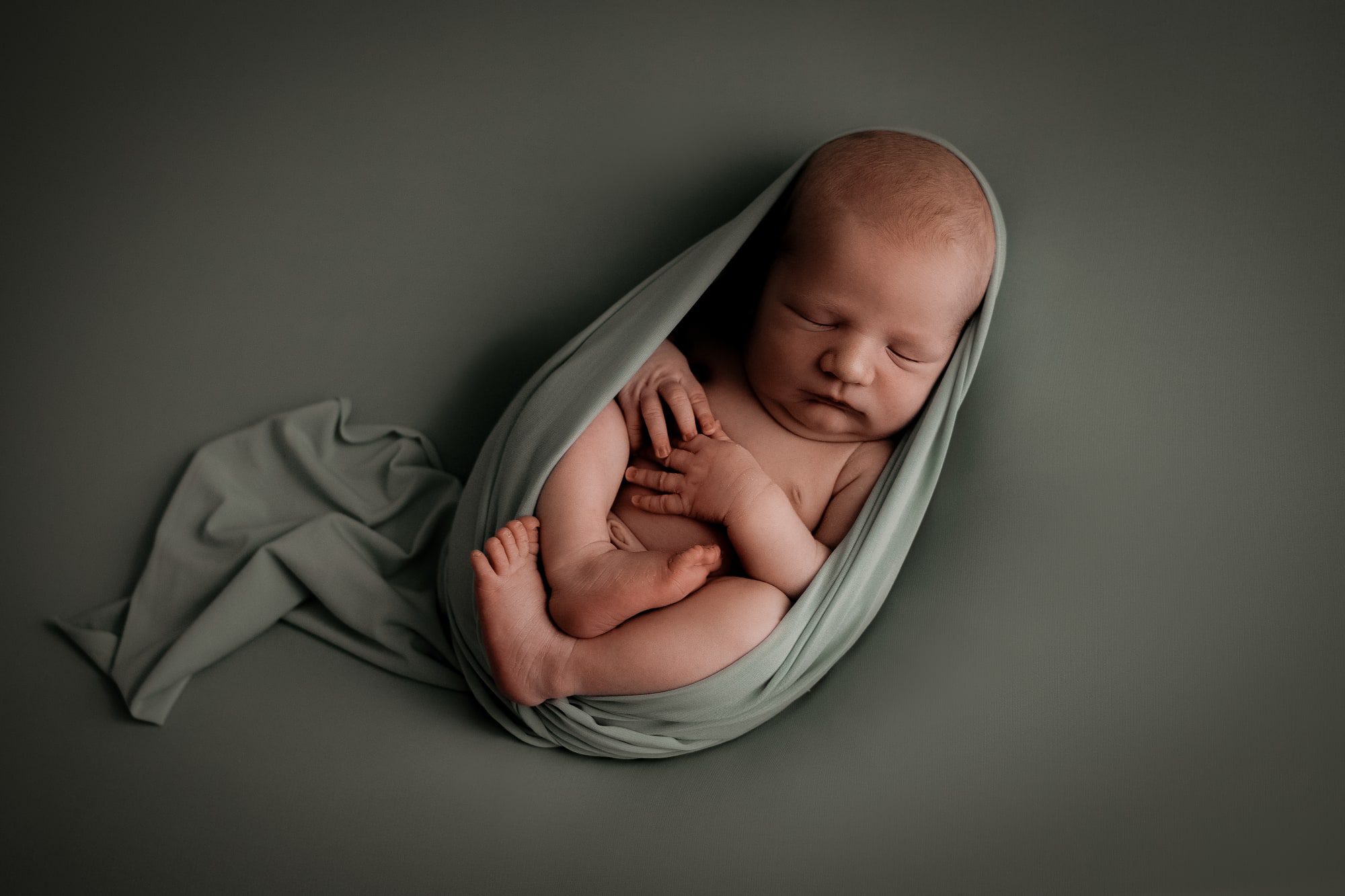 Photographe naissance artistique bébé pose cocoon sur fond kaki